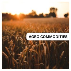 Agro Commodities Mahaport Export India