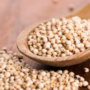 sorghum from India - jawar from india